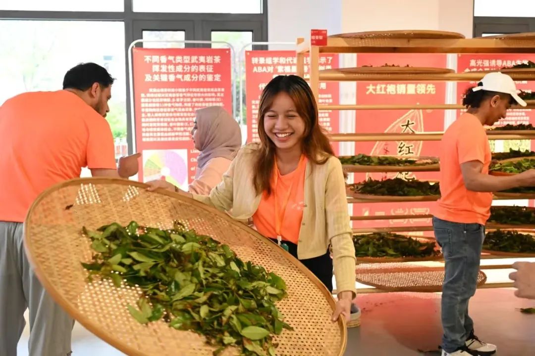 微信图片_20250505165601.jpg 微信图片_20250505165601.jpg