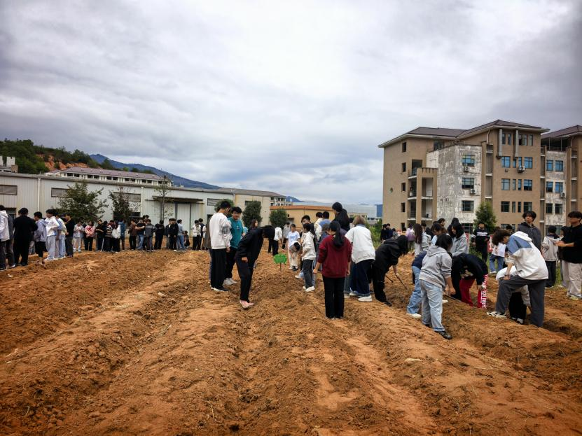 图片4.png 图片4.png